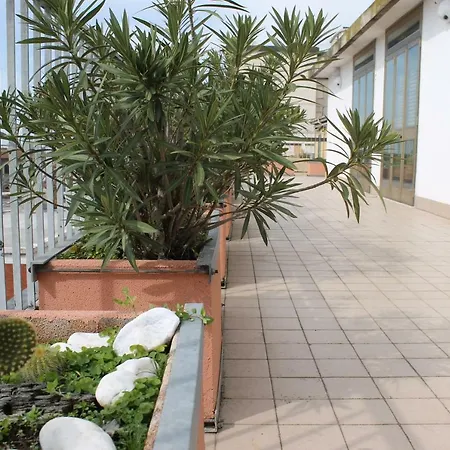 לינה וארוחת בוקר Colombo פיזה