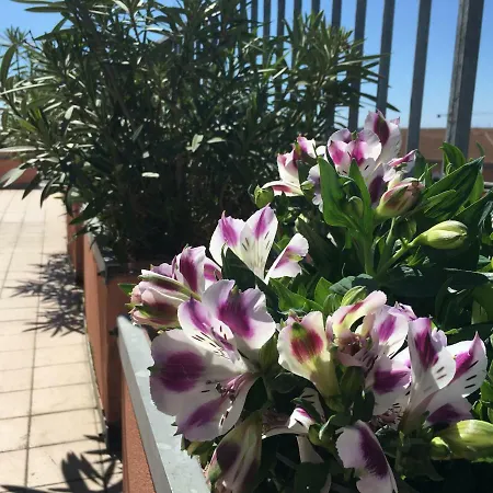 Colombo 住宿加早餐酒店 3*