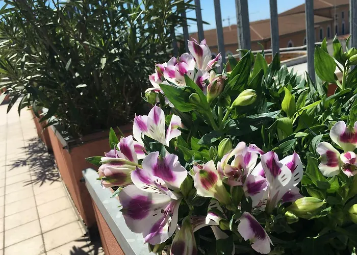 Colombo Bed & Breakfast 3*