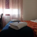 Bed and Breakfast Colombo Πίζα