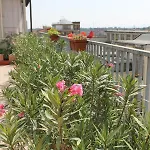 Colombo 3*