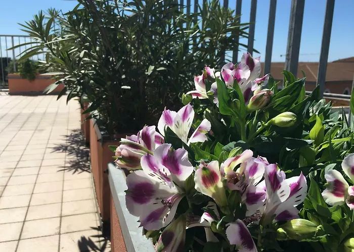 Colombo Bed and Breakfast 3*